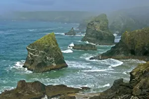 England Prints: Bedruthan Steps overview over rugged coastline and sea stacks Cornwall, England, UK