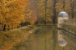 Images Dated 17th November 2006: Beech Trees - Autumn colours The Netherlands, Overijssel, Ommen, Eerde estate