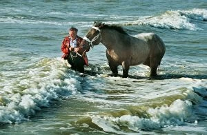 Belgian drafthorse - In the North Sea with owner