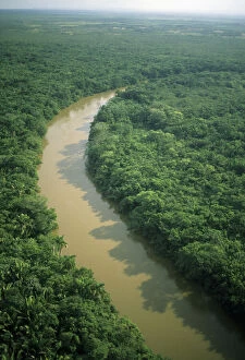 Belize, aerial of Belize River and lowland