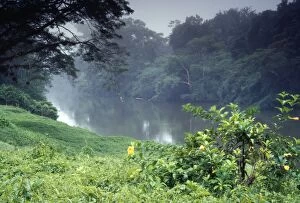 Images Dated 27th September 2011: Belize - Rainforest River