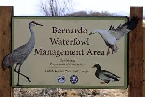 Images Dated 30th November 2008: Bernardo Waterfowl Management Area - Ladd S. Gordon