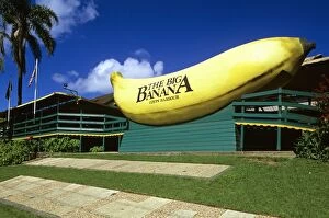 Images Dated 16th January 2009: The Big Banana Coffs Harbour, New South Wales, Australia JPF51921