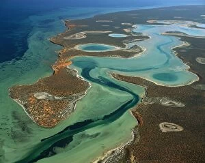 Images Dated 12th January 2009: Big Lagoon, Shark Bay Western Australia JPF43573