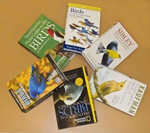 Book Gallery: Bird Field Guides