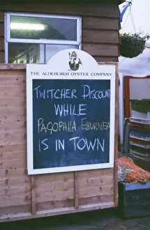 Bird Watchers Ivory Gull Sign - Aldeburgh, UK