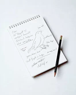 Birdwatcher Gallery: Bird Watcher's Notebook - and pencil