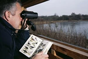 Birdwatchers Gallery: BIRD WATCHING - adult watching from hide
