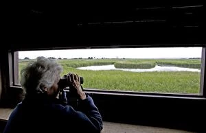 Binoculars Gallery: Bird watching from hide