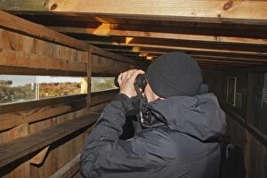 Binoculars Gallery: Birder in observer lookout / hide