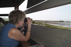 Binoculars Gallery: Birdwatcher - watching from hide