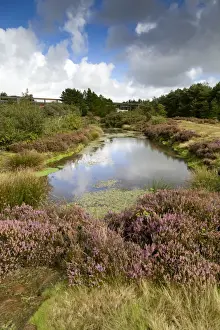 Mines Prints: Bissoe Valley - former Mining area - Cornwall, UK