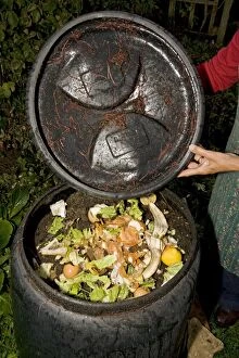 Black compost bin with active worm population