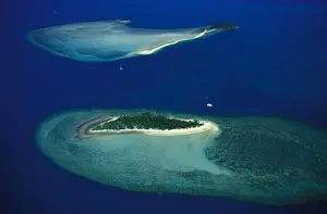 Black and Langford Islands near Hook Island, Whitsunday Group, Great Barrier Reef Marine Park (World Heritage Area), Queensland, Australia JPF34313