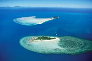 Black and Langford Islands near Hook Island, Whitsunday Group, Great Barrier Reef Marine Park (World Heritage Area), Queensland, Australia JPF34319