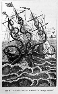 Attacks Gallery: Black & White Illustration: Giant Squid - historic Black & White Illustration