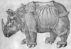 Armour Gallery: Black & White Illustration: Great Indian / One-horned Black & White Illustration