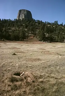 In Hole Prints: Blacktail Prairie Dog JLM 10353 Prairie Dog Town Devils Tower N