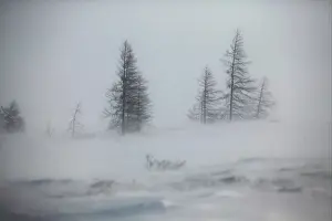 Blizzard Prints: Blizzard. Churchill. Manitoba. Canada