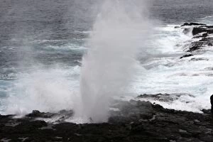 Images Dated 17th April 2005: Blow in Espagnola. Galapagos islands