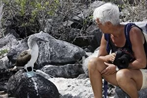 Booby Gallery: Blue-Footed Booby - with tourist