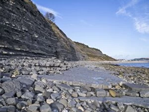 Blue Lias and Shale Cliff
