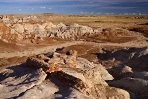 Images Dated 26th February 2009: Blue Mesa Badlands - eroded clay formations called Badlands - petrified wood is strewn loosely