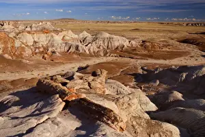 Blue Mesa Badlands - eroded clay formations called Badlands - petrified wood is strewn loosely around - Petrified Forest National Park - Arizona - USA