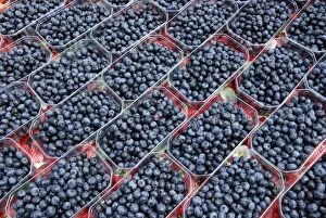 Blueberries Gallery: Blueberries - cultivated fruits at farmers market