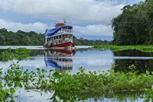 Images Dated 15th May 2011: boat on Solimoes River, flooded forest, Amazon