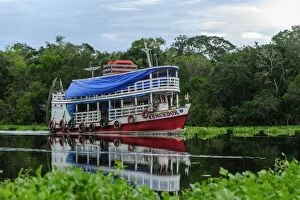Images Dated 15th May 2011: boat on Solimoes River, flooded forest, Amazon