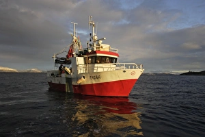 Images Dated 16th November 2006: Boat - Tysfjord - Lofoten Isles - Norway