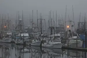 Ports Prints: Boats in Harbor - in fog - New Port Oregon - USA