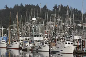 Ports Prints: Boats in Harbor - New Port Oregon - USA