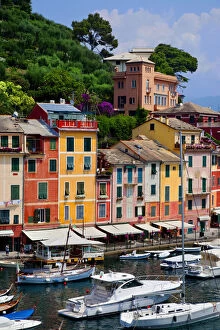 Images Dated 21st January 2013: Boats moored in the tiny harbor of Portofino