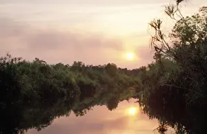 Borneo - Equatorial forest & Sekonyer River Tanjung Puting National Park, Kalimantan
