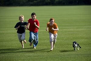 Boston Terrier dog - children playing with dog