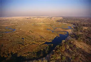 Floods Prints: Botswana - Linyanti floodplains