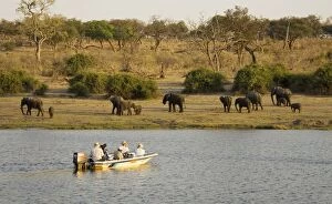 Botswana - Tourists on a boat cruise on the Chobe