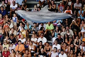 Aquariums Gallery: Bottlenose Dolphin jumping with crowd watching in background