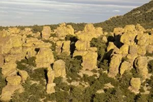 Boulders of rock in the Chiricahua Mountains