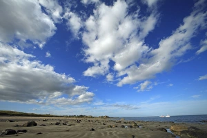 Images Dated 20th September 2007: Boulmer Village - beach south of village with fair weather clouds
