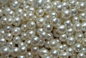 Ampat Gallery: Bowl of pearls cultured from silver-lipped