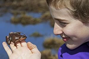 Boy - Age 12 - Observing Wood Frog