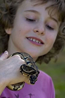 Images Dated 21st April 2006: Boy with captive Ball Python
