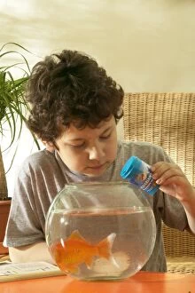Images Dated 1st June 2004: Boy feeding GOLDFISH in bowl