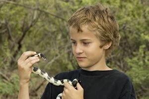 Boy holding Common Kingsnake