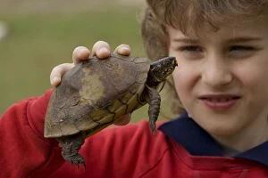 Images Dated 20th April 2006: Boy holding Eastern Box Turtle