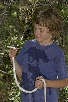 Images Dated 13th July 2006: Boy holding Patch-nosed Snake - non-venomous