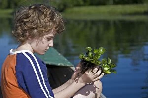 Boy observing Water Hyacinth